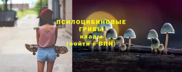 кокс Бородино