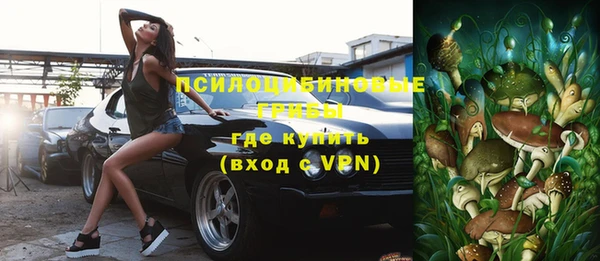 кокс Бородино